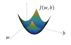 calculating the cost function