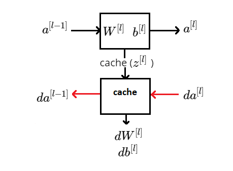 Diagram of a Forward and Backward pass through layer \(l \)