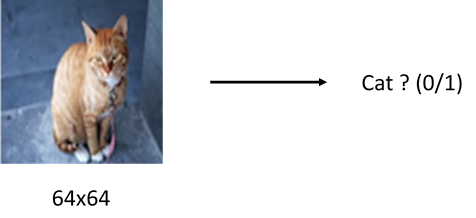 Example of image classification either a cat or not, computer vision