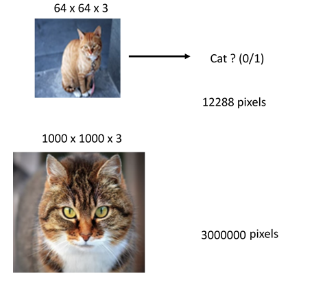 Examples of number of pixels in two different sized images, computer vision