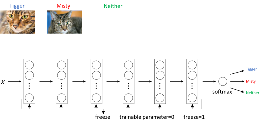 Neural Network with Softmax activation function