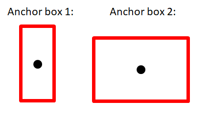 predefined anchor boxes