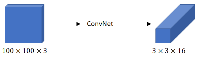 ConvNet input and output