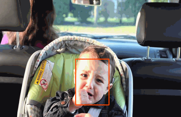  Face Detection in Videos