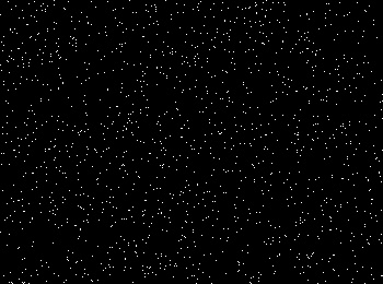 Common Types of Noise, salt and pepper noise.