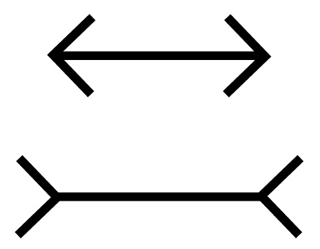 weak-perspective-lines
