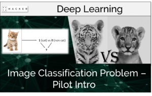 image classification problem - pilot intro