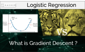 what is gradient descent