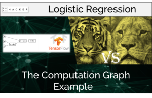 the computation graph example