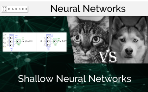 shallow neural networks