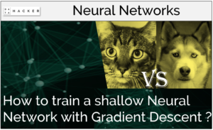 How to train a shallow neural network with gradient descent