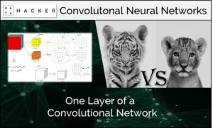 one layer of a convolutional neural network
