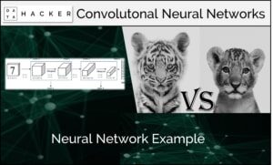neural network example