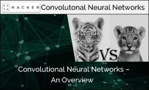 convolutional neural network - an overview