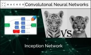 inception network