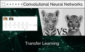 transfer learning