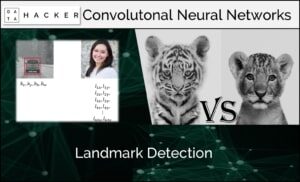 landmark detection