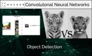 object detection