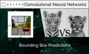 Bounding box predictions