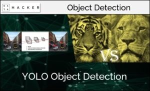 yolo object detection
