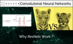 why resnets work