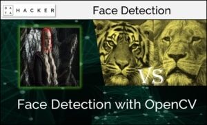 opencv - face detection with opencv