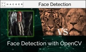 opencv - face detection with video