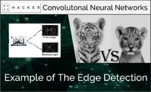 example of the edge detection