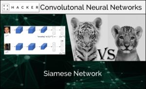 Siamese Network