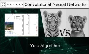 Yolo Algorithm