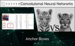 Anchor Boxes