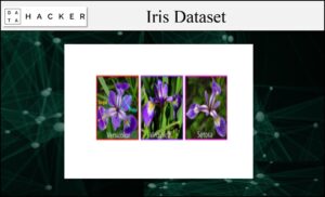 Iris dataset