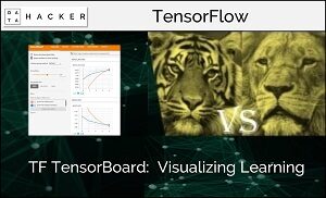 TensorBoard