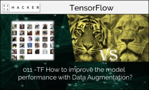 Data Augmentation