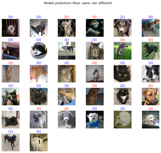 Models predictions 2 - cats-vs-dogs