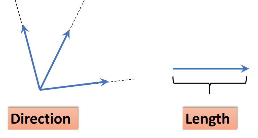 Vectors direction and length  linear algebra