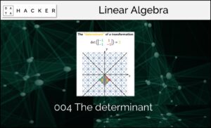 Linear Algebra – The determinant