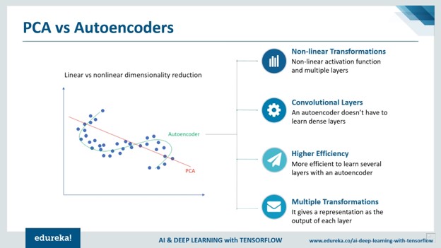 This image has an empty alt attribute; its file name is Picture2.jpg