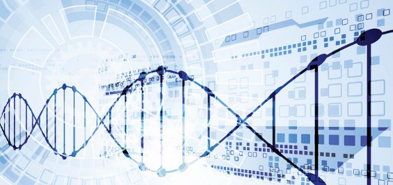 vectors DNA