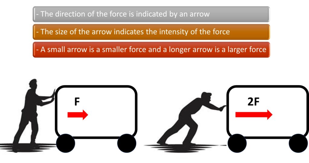vectors force direction size