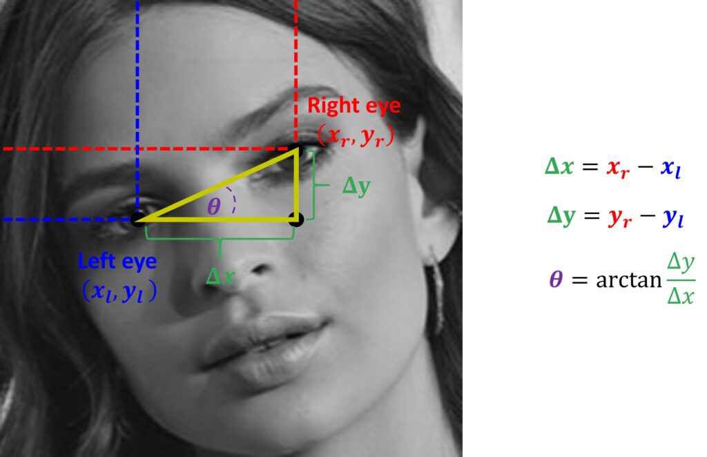  Face alignment in OpenCV