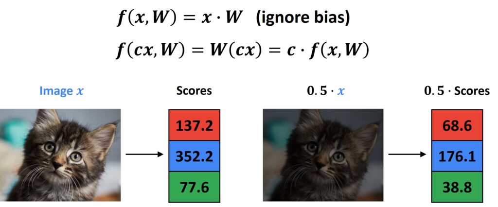 Linear Classifiers PyTorch