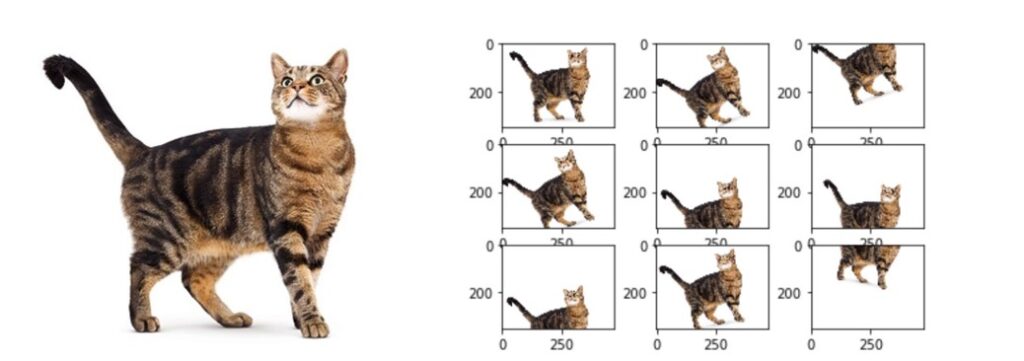 data augmentation pytorch