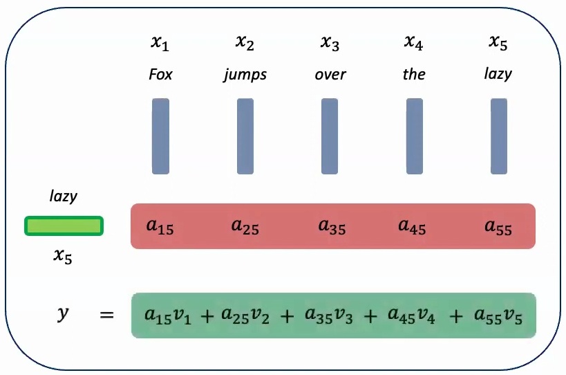 Attention weights visualization