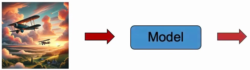 Flow diagram showing input through model to output