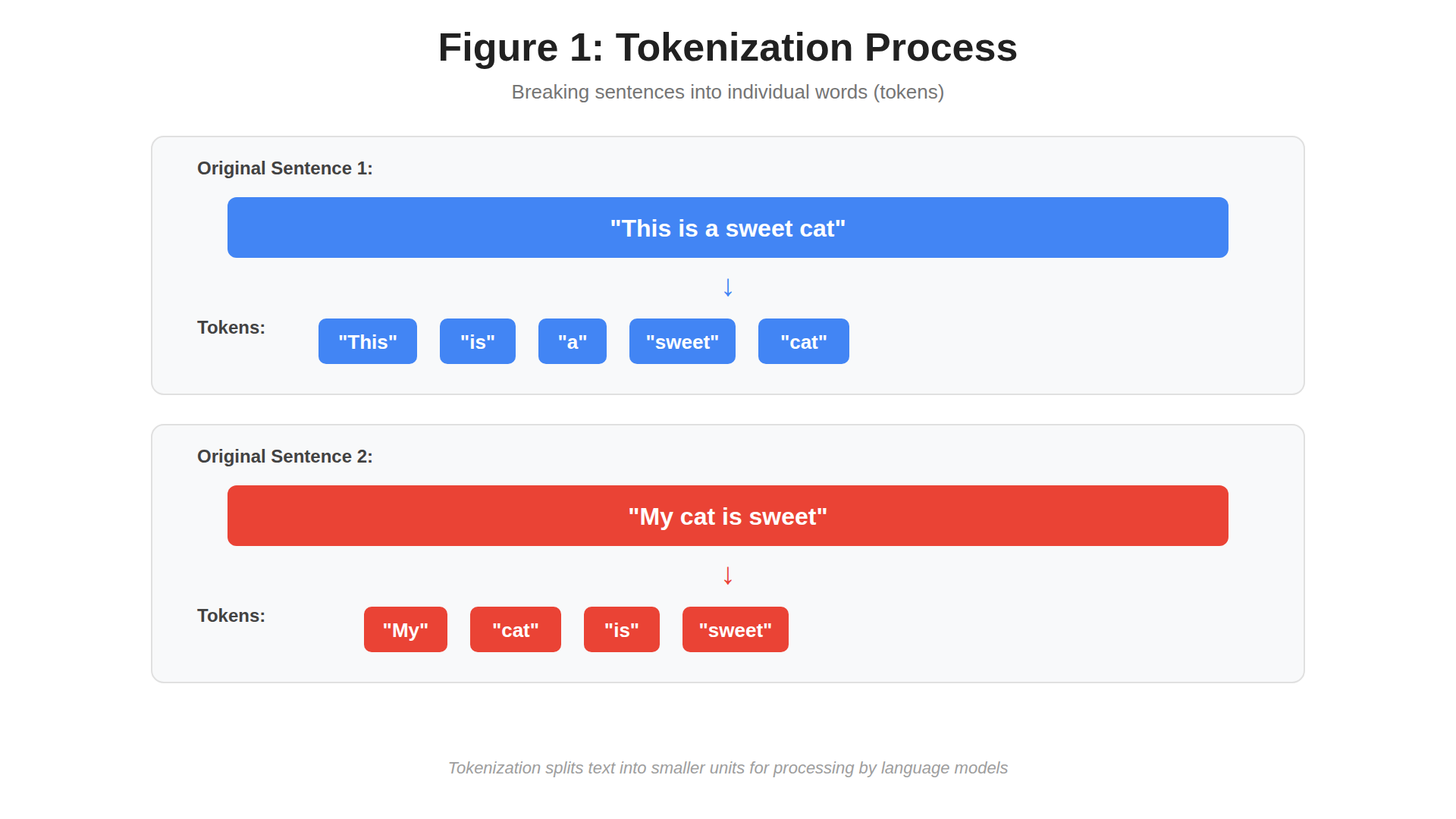 Tokenization Process