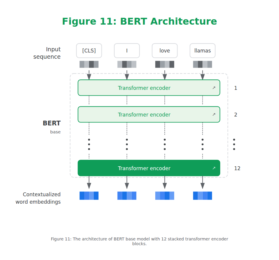 BERT Architecture