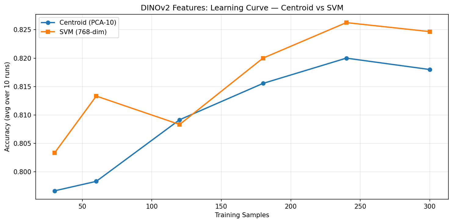 DINOv2 learning curve