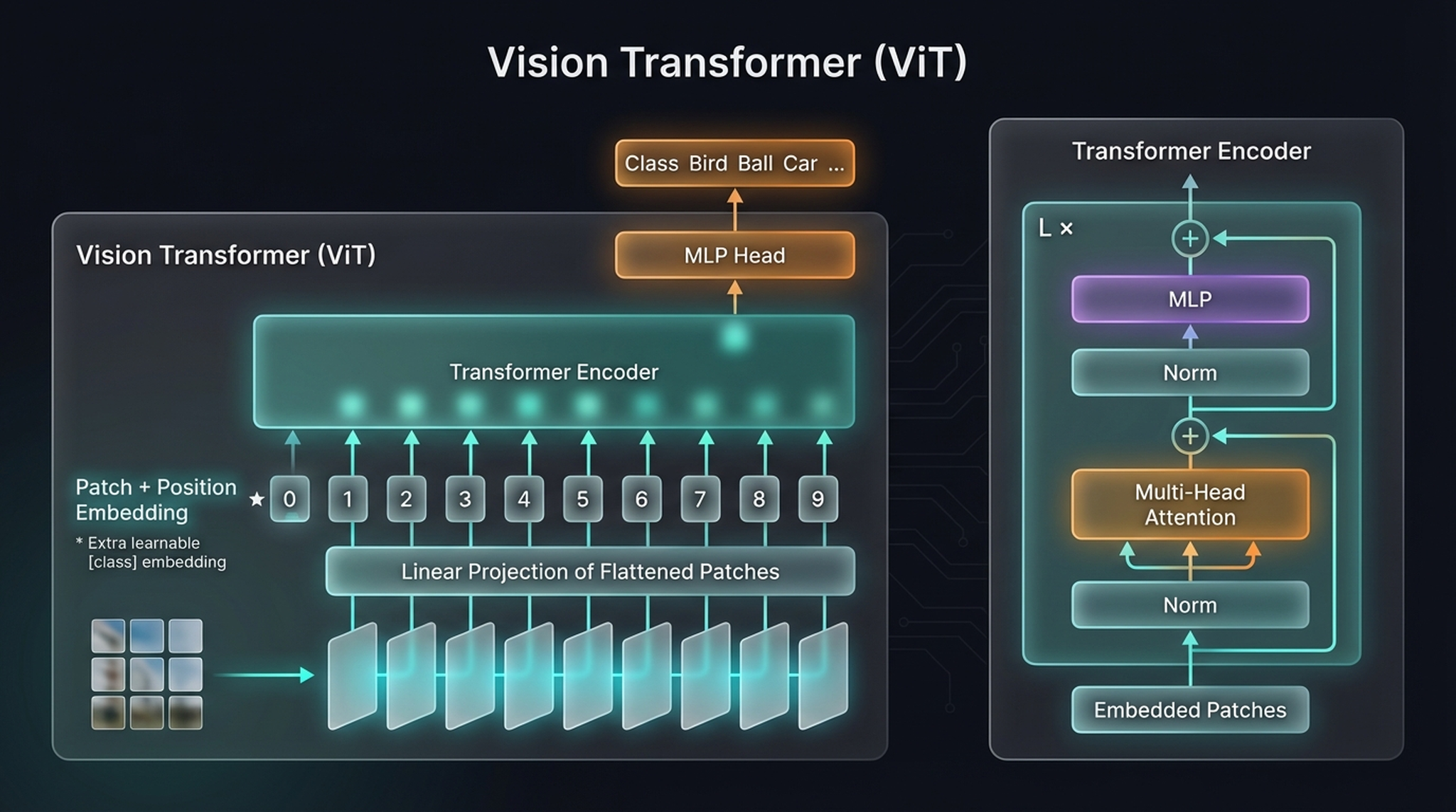 Complete ViT pipeline with encoder detail