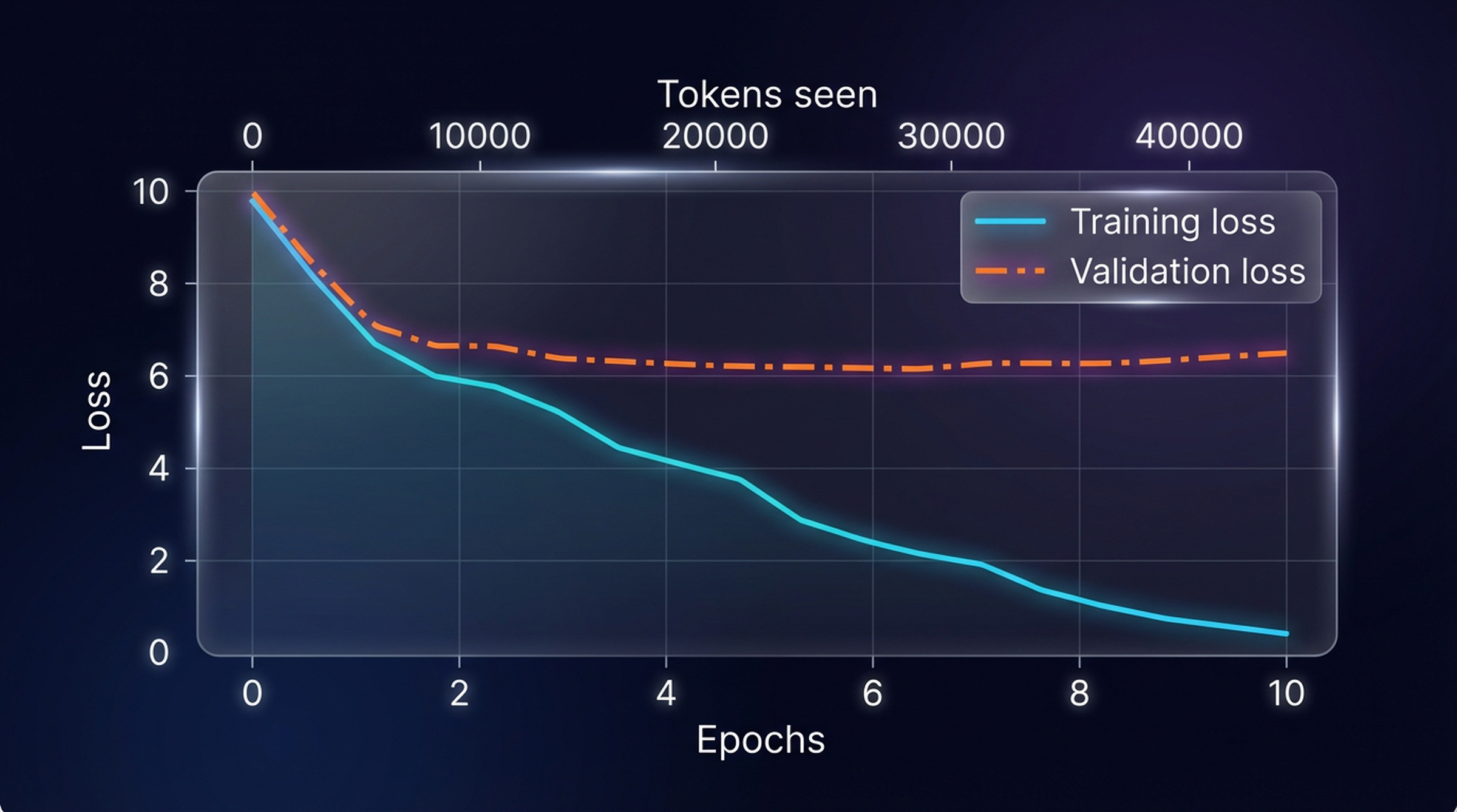 Training and validation loss curves